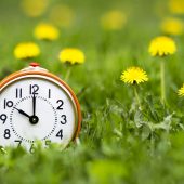 Change Your Clocks, Spring forward