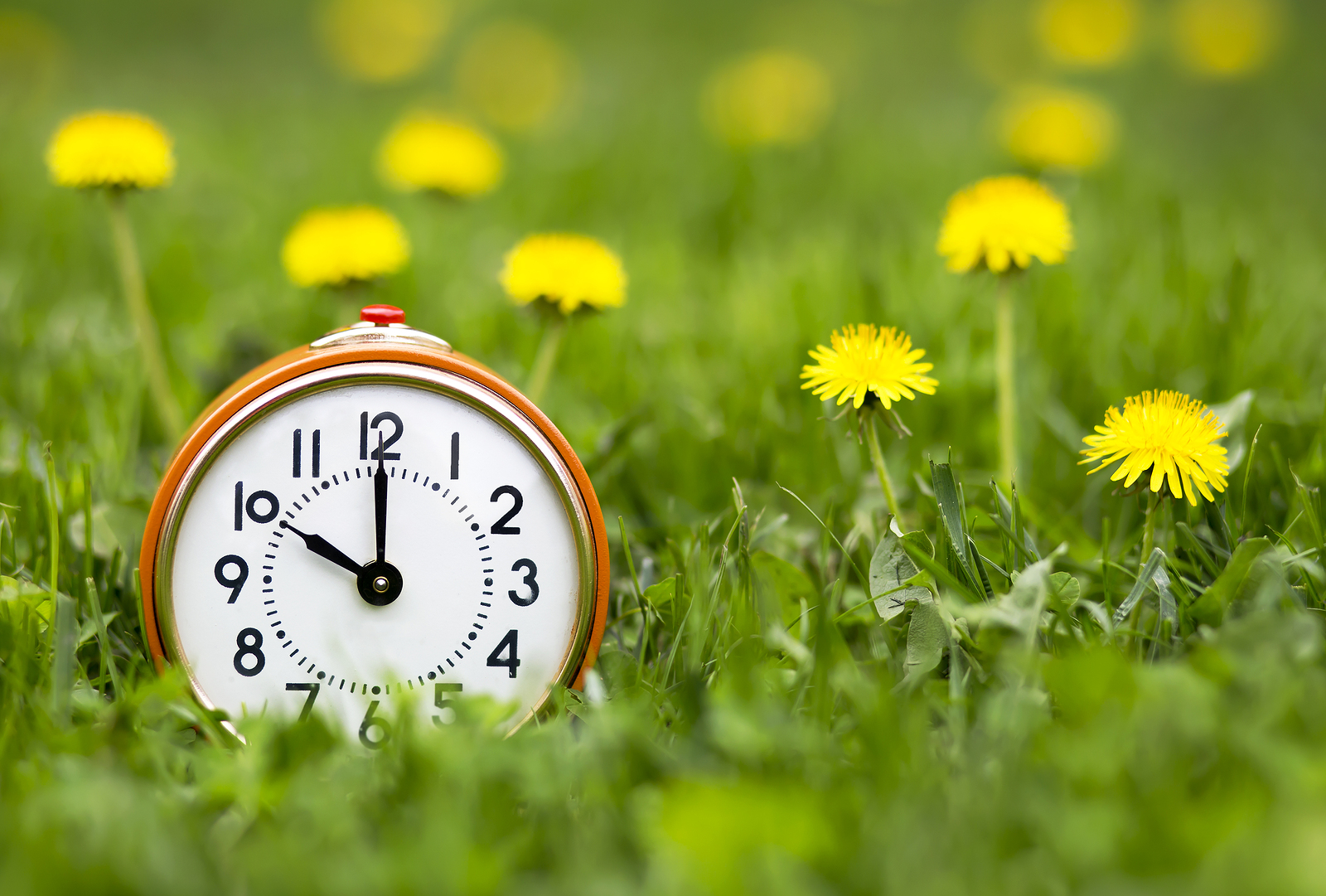 Change Your Clocks, Spring forward