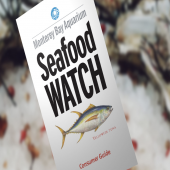 sustainable seafood guide