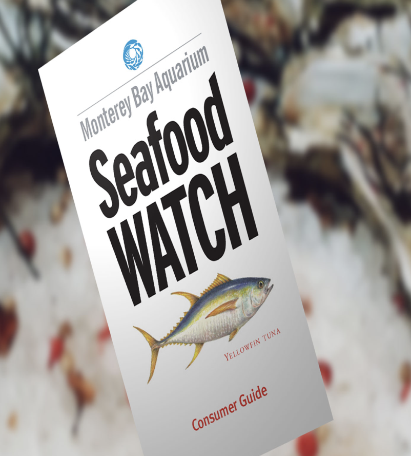 sustainable seafood guide